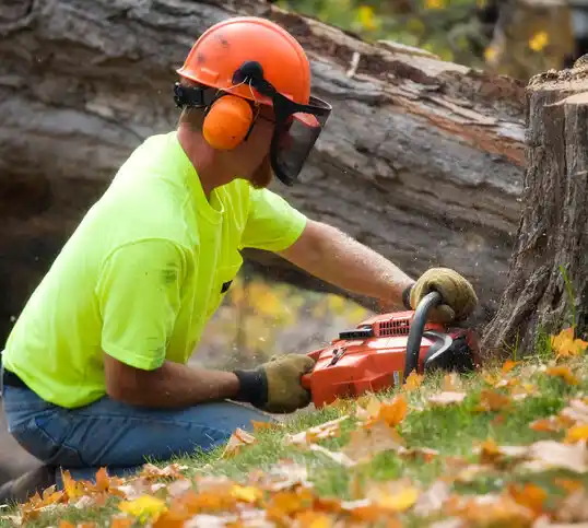 tree services Farley